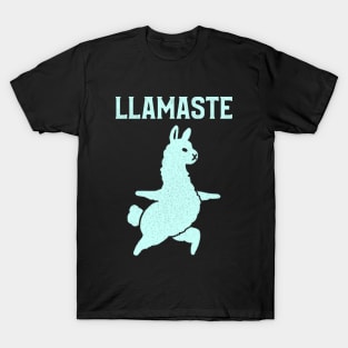 Llamaste T-Shirt